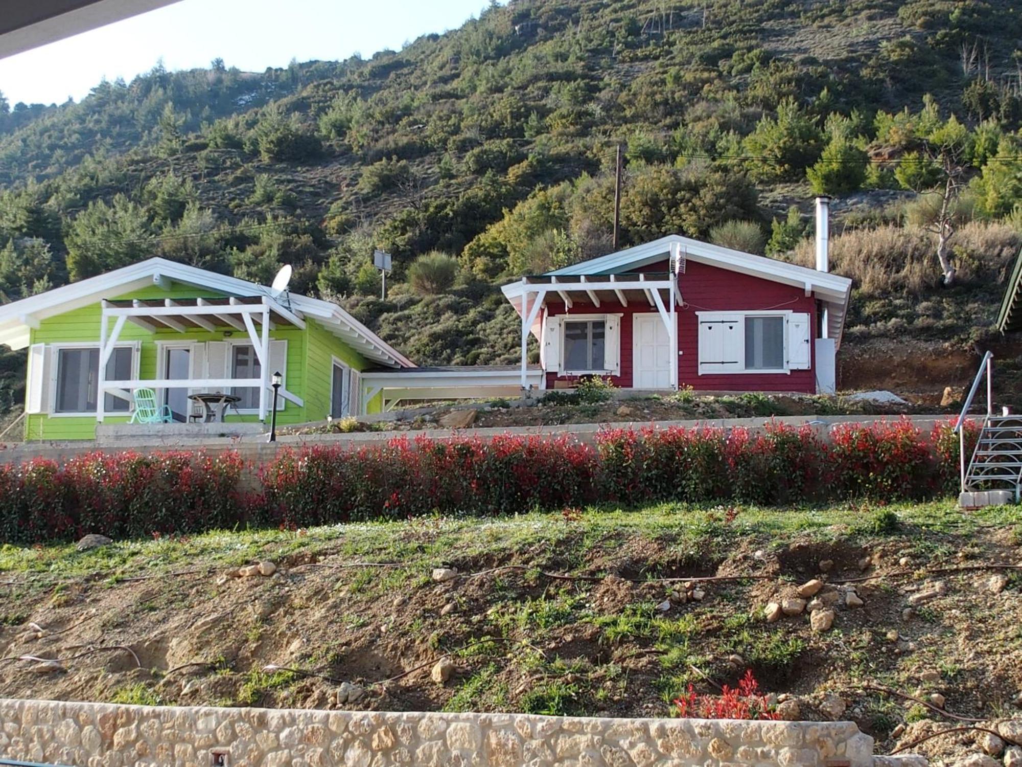 Karya Ktima Noosfera Wellness & Retreat Center酒店 外观 照片